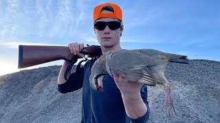 Empire Of The Crags | Mojave Chukar Hunt: California 2023 4k