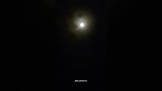 Obsessed with Moon🌝 #shorts #shortsfeed #viral #trending #subscribe #fyp #ytshorts #youtubeshorts