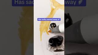 I can't believe Doge is gone 😭 | My drawing tribute to Kabosu.