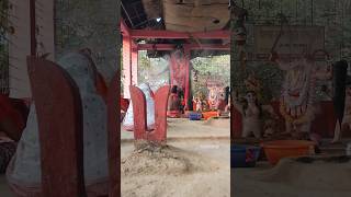 🌺🌺 Maa Kali Short Video 2023 ❤️🙏🏻❤️ | Aigiri Nandini | #shorts #viral #trending #kalipuja #maakali
