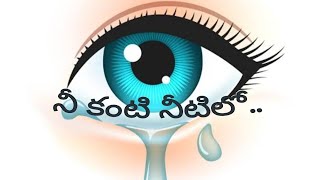 నీ కంటి నీటిలో..