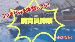 南知多ビーチランドの飼育員体験