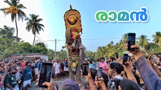 ഒരേഒരു രാജാവ് 🔥🔥 രാമൻ പാർകാടിയുടെ മണ്ണിൽ 🔥🔥 | Thechikottukkavu Ramachandran | Parkkadi Pooram 2024