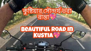 কুষ্টিয়ার সৌন্দর্য ভরা রাস্তা💖Beautiful Road In Kustia💖