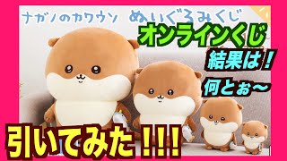 【ちいかわ】カワウソくじ〜！今回の結果はいかに〜！大当たりか〜？小当たりか〜？どっちでも良い〜可愛いくじ〜！