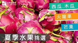 【季節水果】夏季水果挑選秘訣！西瓜、木瓜、火龍果、芒果！| 台灣好食材 Fooding