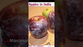 நல்ல Apple-ஐ கண்டுபிடிப்பது எப்படி?...|  How to select a perfect apple | Tamil | Manimative |