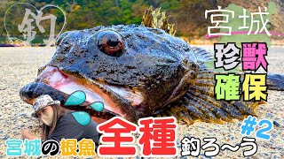 ついに珍獣確保ォ！！ ＝宮城の根魚全種釣ろう#2＝