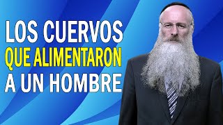 Los Cuervos que Alimentaron a un Hombre