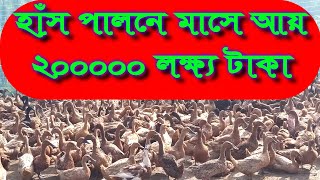 হাঁস পালনে মাসে আয় দুই লাখ টাকা