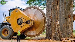 Extreme Dangerous Fastest Big Chainsaw Cutting Tree Machines | Monster Stump Removal Excavator #26