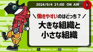 【Nラジ】組織の大きさによって働きやすさは違うの？〜経験の幅・人間関係の問題について解説〜