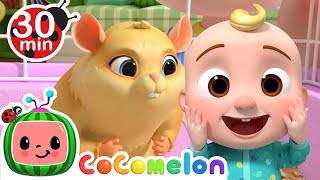 Class Pet Sleepover | CoComelon Furry Friends | Animals for Kids