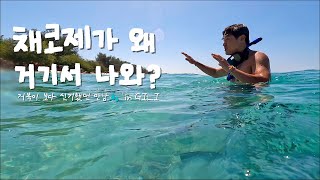 🇲🇨Ep11. 길리에서 만난 그 분.. 거북이보다 더 신기했던 그 분..[누사페니다에서 길리/길리 터틀비치]