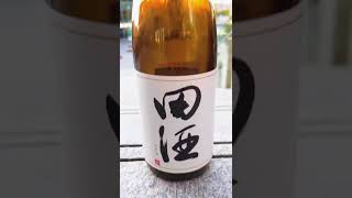 【日本酒紹介】田酒を大阪の風景をバックにかっこよく撮ってみた