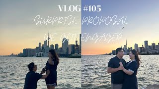 VLOG #105 - LDR Reunion, Surprise Proposal, & Blue Jays Game & More!