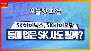 SK하이닉스, SK바이오팜 등에 업은 SK 사도 될까?_오늘장 피셜 (20201127)