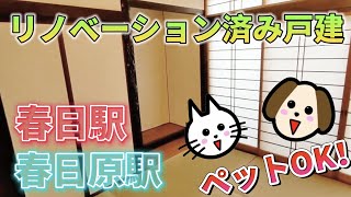 【ついにナカムラまでペット可に囚われました。】今回は春日市のリノベーション戸建てツアー