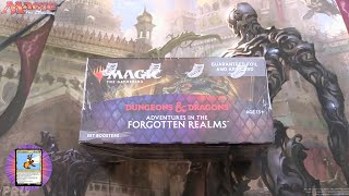 DRAGON HUNTING In D&D: Adventures in the Forgotten Realms!