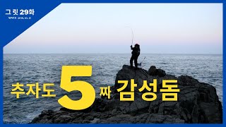 그릿 [29화] 추자도 5짜 감성돔 / 마릿수 낚시