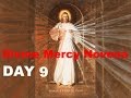 Divine Mercy Novena - Day 9