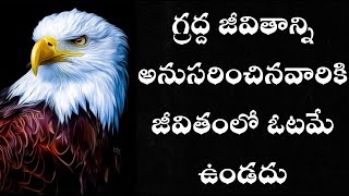 Eagle Attitude - గ్రద్ద జీవితాన్ని అనుసరించినవారికి జీవితంలో ఓటమే ఉండదు