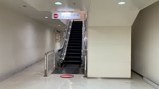 (アナウンスあり)ニトリ川沿店のエスカレーター