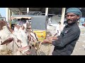 25 11 2024 gurumitkal ox market big size bull s sale in low price