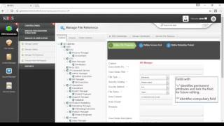Cabinet Management: Creating Cabinet Case Series using KRIS Document and Record Management System