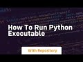how to run python executable