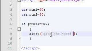 Javascript Tutorial - 8 - If Statement