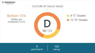 Gallo Sales' CEO and Work Experience - Q1 2019