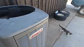 2 2013 Lennox Elite XC13 Air Conditioners Running (1 Starting Up)