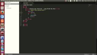 016 Javascript Tutorial Loop Break Ep 16