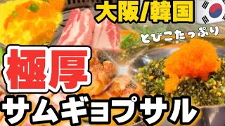 【新情報‼️】熟成サムギョプサルの本気🇰🇷道頓堀とびこ爆盛のケランチム‼️韓国焼肉/韓国グルメ