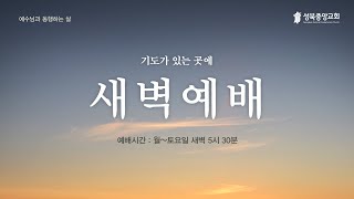 [새벽예배] 2024.11.1.ㅣ\