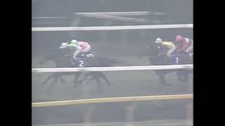 ダイタクヘリオス 1991年 第41回安田記念(GI) (優勝馬：ダイイチルビー)