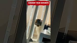 Funny Cats and Dogs Shorts video compilation 😂😂😂 Try not to  Laugh Caught on Camera Cat Memes Ep187