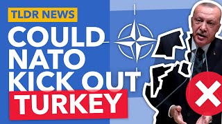 Could NATO Kick Out Turkey (to let in Sweden & Finland) - TLDR News