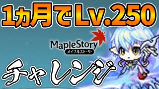 【メイプル】Lv.250チャレンジ10日目【メイプルストーリー】