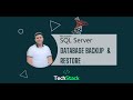 SQL Server Database Backup and Restore