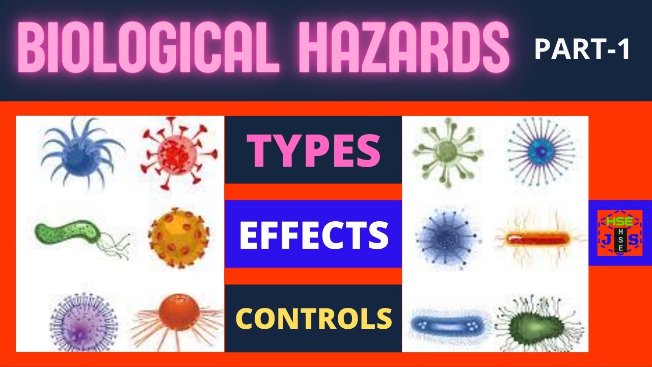 Types Of Food Borne Hazards Biological Chemical And 46 Off