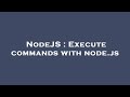 NodeJS : Execute commands with node.js