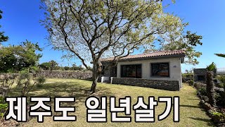 제주도 일년살기 해보고 싶으신가요?! (가전.가구 풀옵션/ 마당넓은 집)