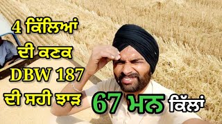 ਚਾਰ ਕਿੱਲੇ Dbw 187 ਕਣਕ ਵੇਚੀ। ਦੇਖੋ ਕਿੰਨਾ ਝਾੜ। ਕੀ ਅੋਸਤ ਪਈ। ਕਿੰਨੀ ਤੂੜੀ ਨਿਕਲੀ।Daily Vlog