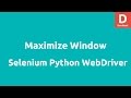 Python Selenium Re-size Maximize Window