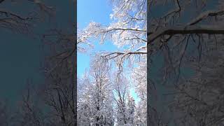 Relaxing Winter Charm | Relaxing Music \u0026 Calming 4K Nature | Sleep Relaxation | Relaxing Sceneries