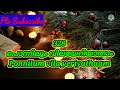 ponnilum vilayeriyathaam പൊന്നിലും വിലയേറിയതാം tpm sangeetha susrusha song 328