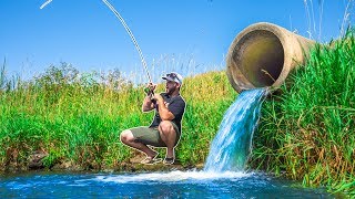 HIDDEN SPILLWAY was LOADED with FISH!!! (Unexpected)
