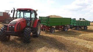 Żniwa 2020 _Bizon Z056 , Zetor Forterra 11441